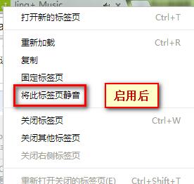 说说6谷歌浏览器设置网页静音的详细教程