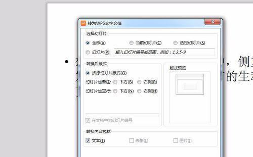 说说6PowerPoint Viewer转成word文件的详细过程 说说6什么是江田岛精神