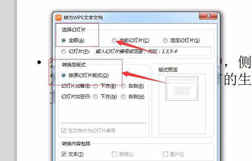 说说6PowerPoint Viewer转成word文件的详细过程 说说6什么是江田岛精神