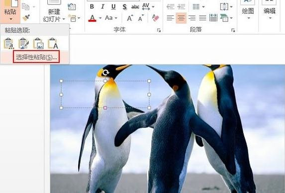 说说6ppt2013填充背景图片的操作步骤 说说6做什么作文