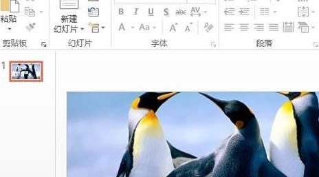 说说6ppt2013填充背景图片的操作步骤 说说6做什么作文