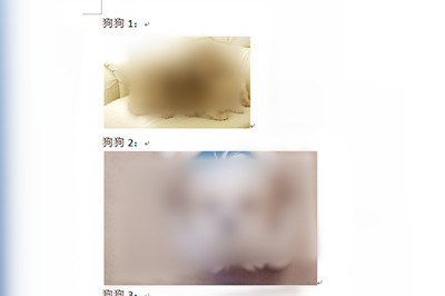 说说6word图片排版对齐操作步骤 说说6我跟学学的古诗