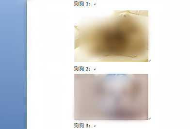 说说6word图片排版对齐操作步骤 说说6我跟学学的古诗