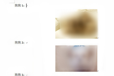 说说6word图片排版对齐操作步骤 说说6我跟学学的古诗