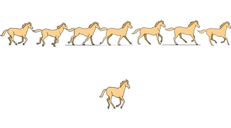 说说6PPT设计一段马儿奔跑动画的详细方法