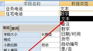说说6access通过设计视图更改字段的数据格式的方法 说说6挑西瓜