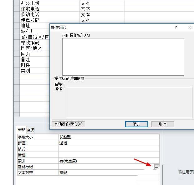 说说6access中对字段进行智能标志的操作步骤 说说6挑西瓜