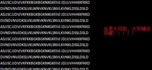 word2007输入英文字母都是大写的处理操作方法截图