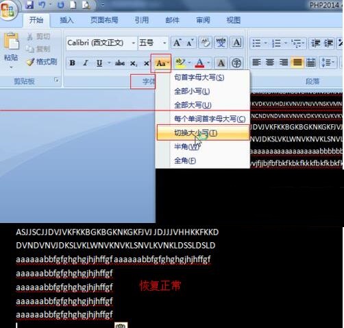 word2007输入英文字母都是大写的处理操作方法截图