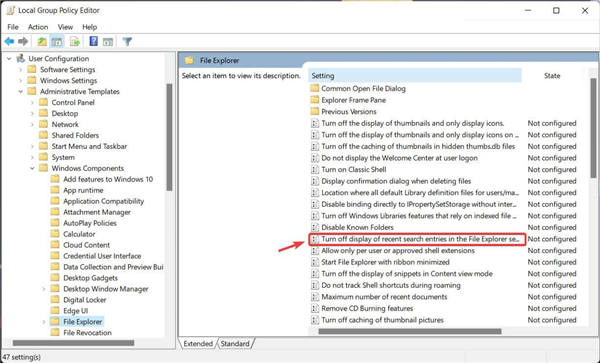 怎么在Windows11上禁用文件资源管理器搜索历史记录?