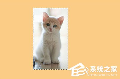 说说6PS怎么给图片加边框（给照片加边框的软件）