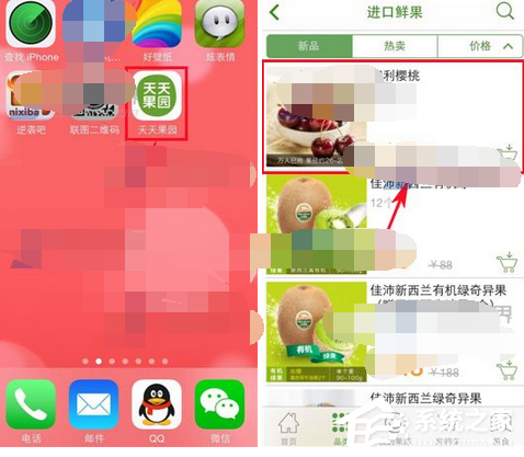 说说6天天果园APP如何添加关注