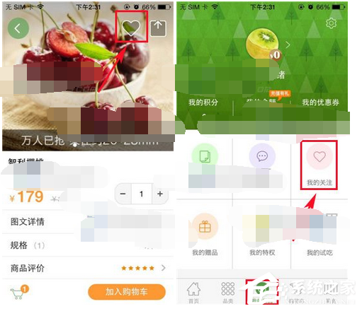 说说6天天果园APP如何添加关注
