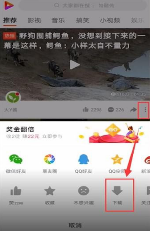 说说6好看视频的下载文件找不到怎么办