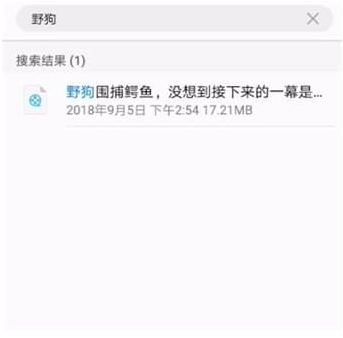 说说6好看视频的下载文件找不到怎么办