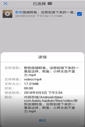 说说6好看视频的下载文件找不到怎么办