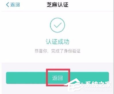 说说6支付宝如何认证领取养老金