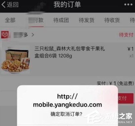 说说6拼多多拼单如何取消