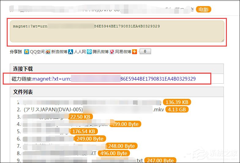 磁力链接搜索引擎怎么使用?