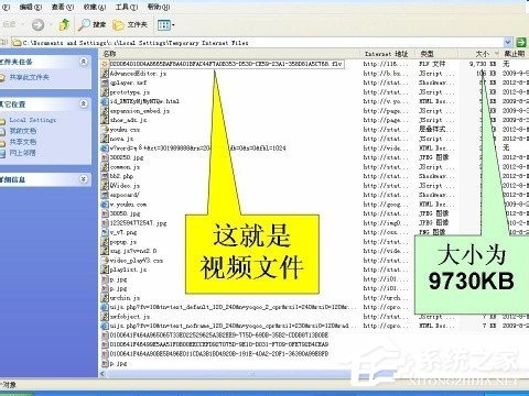 说说6WinXP系统如何保存网页视频