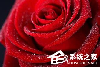 Matlab极坐标曲线如何绘制?
