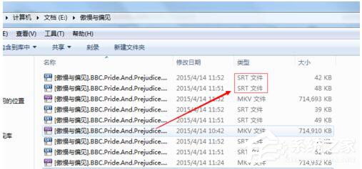 说说6srt是什么文件