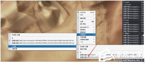 说说6srt是什么文件