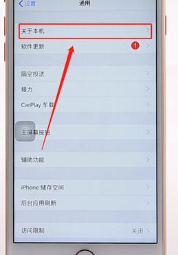 说说6在苹果手机里查版本信息操作流程