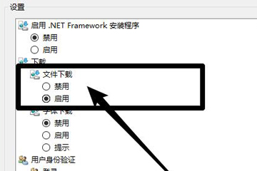 360浏览器无法下载文件怎么办 只需要一招即可解决