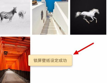 说说6锤子手机设置锁屏壁纸具体操作步骤