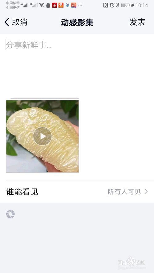 说说6怎么使用手机QQ将图片制作成动感影集。