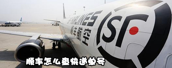 说说6顺丰如何查快递单号。