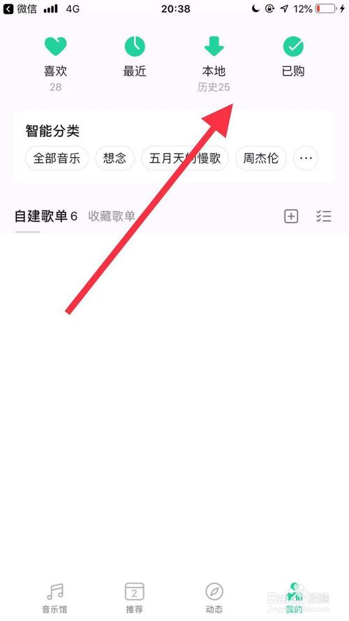 说说6苹果设备如何导入歌曲。