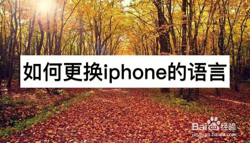 说说6iPhone怎么换语言。