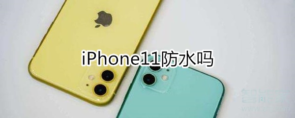 说说6iphone11支持防水吗。