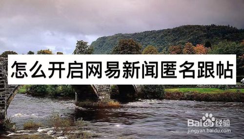 说说6怎么打开网易新闻匿名跟帖。