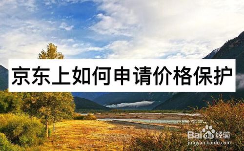 说说6京东上怎么申请价格保护。