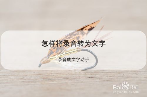 说说6如何将录音转为文字。