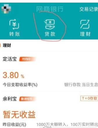 说说6在网商银行中进行借款的详细步骤。