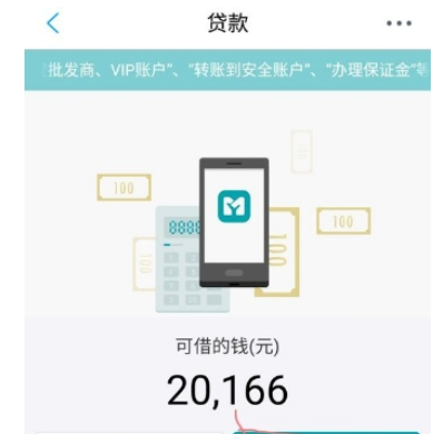 说说6在网商银行中进行借款的详细步骤。