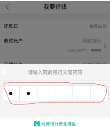 说说6在网商银行中进行借款的详细步骤。