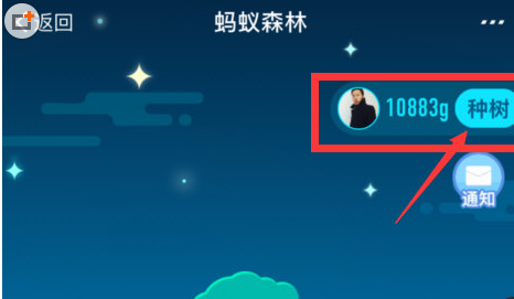 说说6在支付宝蚂蚁森林中获得环保证书的图文教程。
