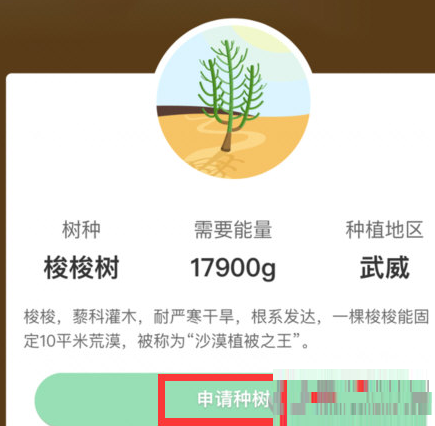 说说6在支付宝蚂蚁森林中获得环保证书的图文教程。