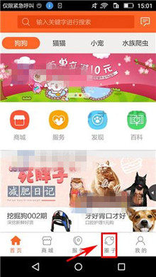 说说6在波奇宠物APP中创建圈子的详细步骤。