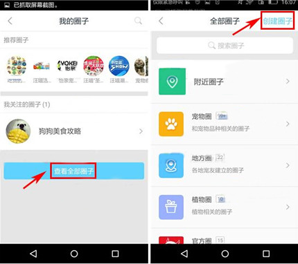 说说6在波奇宠物APP中创建圈子的详细步骤。