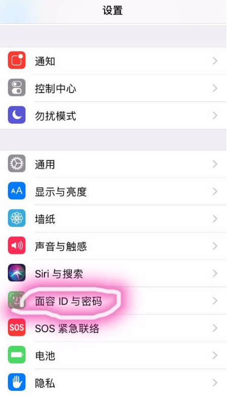 说说6在iPhone xs max中设置人脸识别的图文教程。