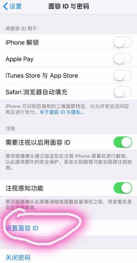 说说6在iPhone xs max中设置人脸识别的图文教程。