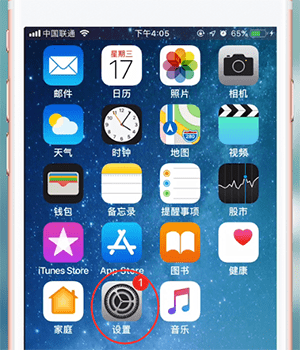 说说6苹果手机查看本机号码的图文操作。