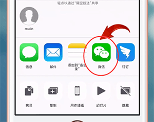 说说6在苹果手机中将Live Photos照片发送给微信好友的详细操作。