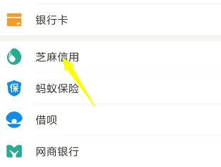 说说6支付宝怎么开通借呗。
